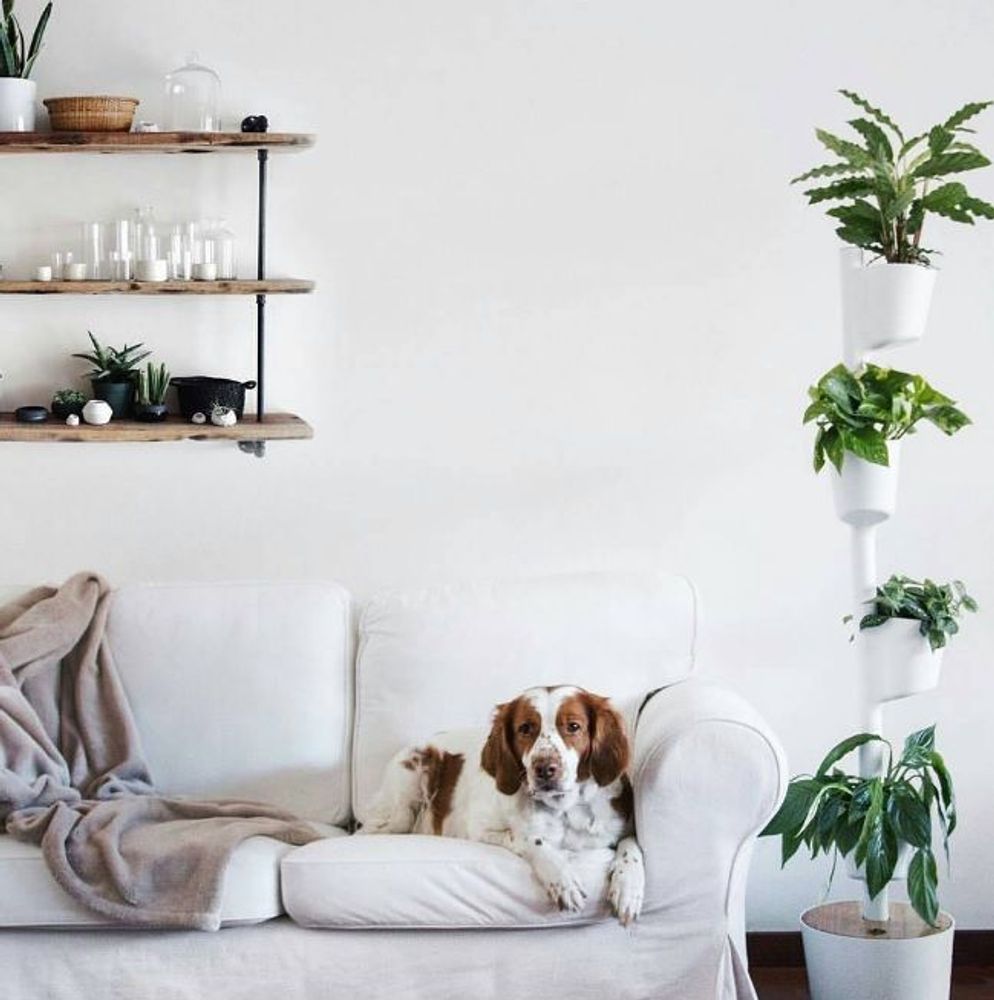 Autres objets connectés - Jardinière verticale smart - CITYSENS