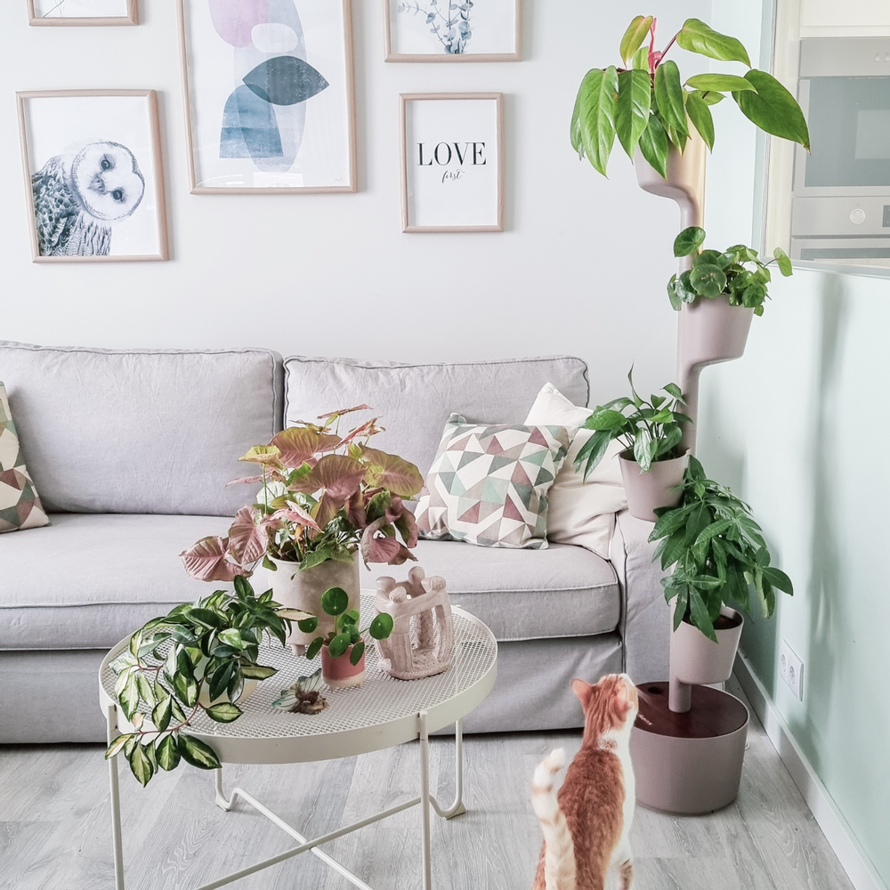 Autres objets connectés - Jardinière verticale smart - CITYSENS