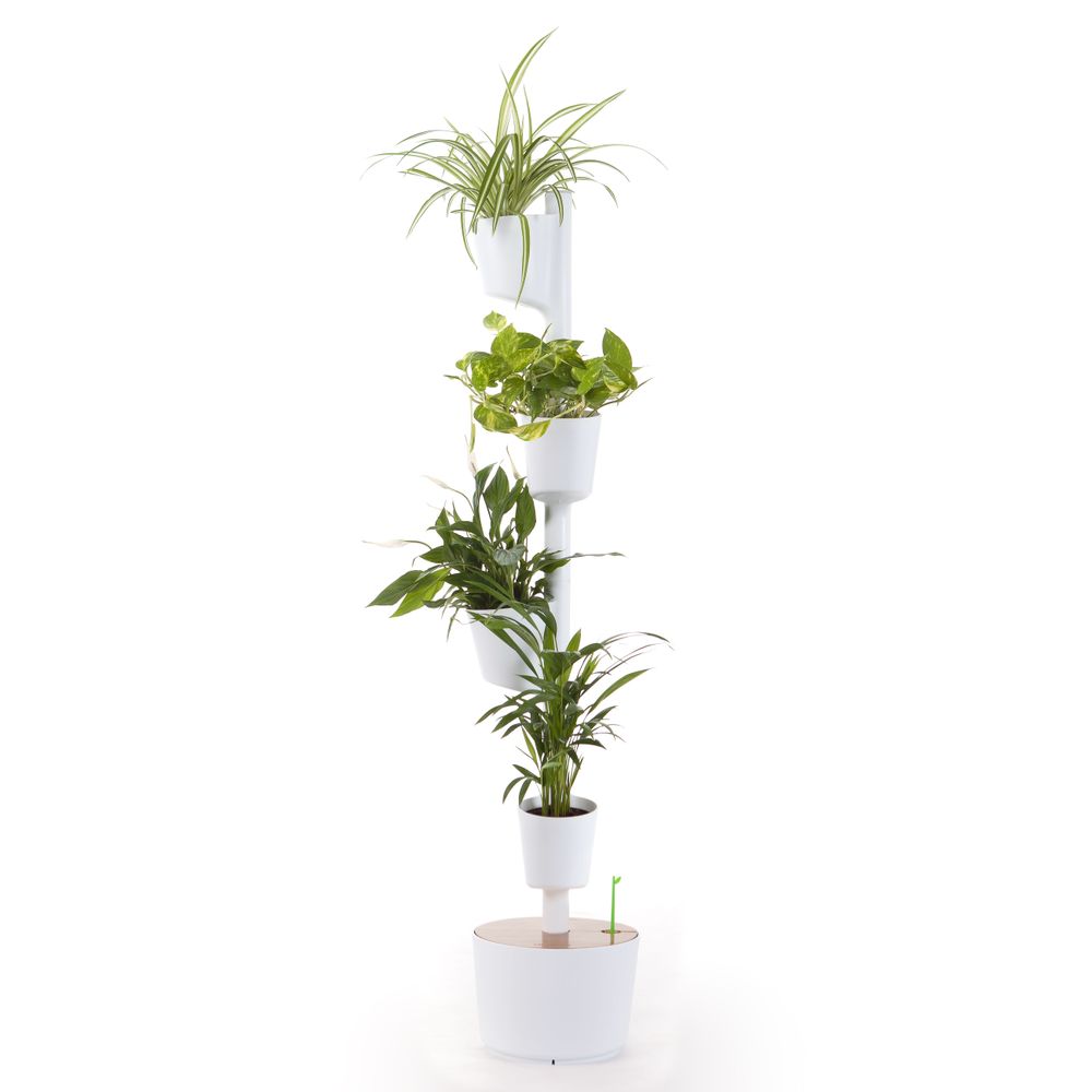 Autres objets connectés - Jardinière verticale smart - CITYSENS