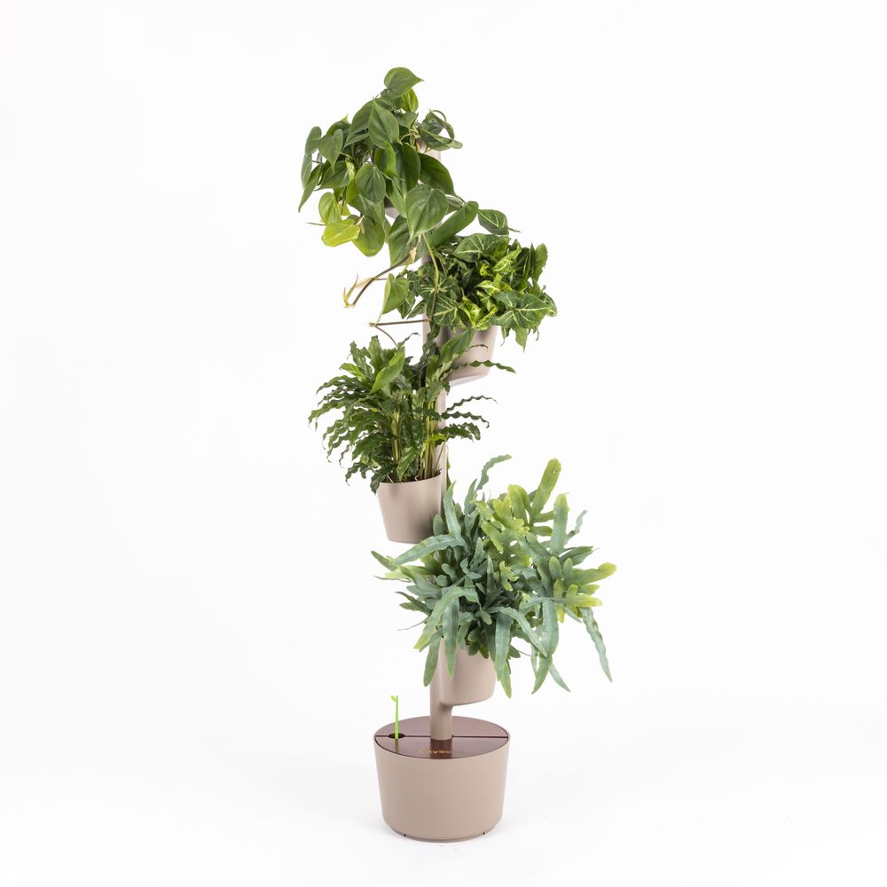 Autres objets connectés - Jardinière verticale smart - CITYSENS