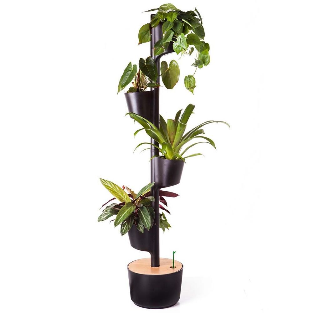 Autres objets connectés - Jardinière verticale smart - CITYSENS