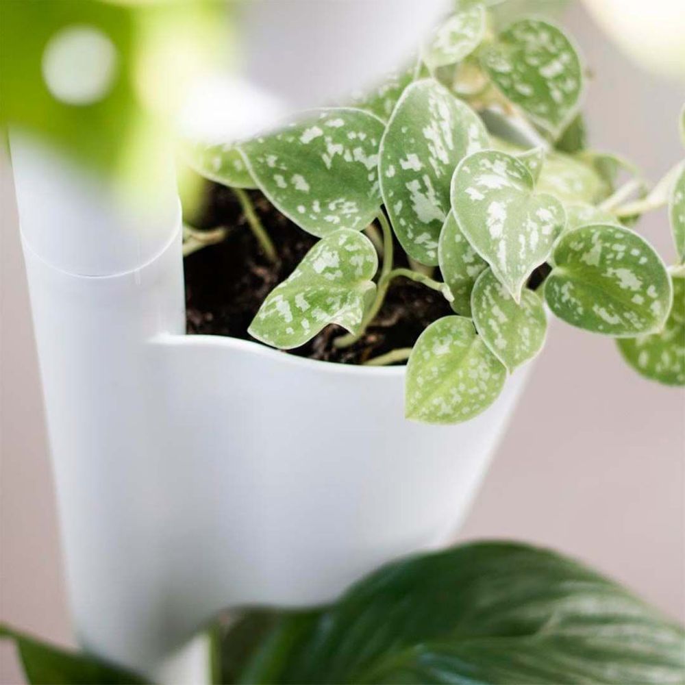 Autres objets connectés - Jardinière verticale smart - CITYSENS
