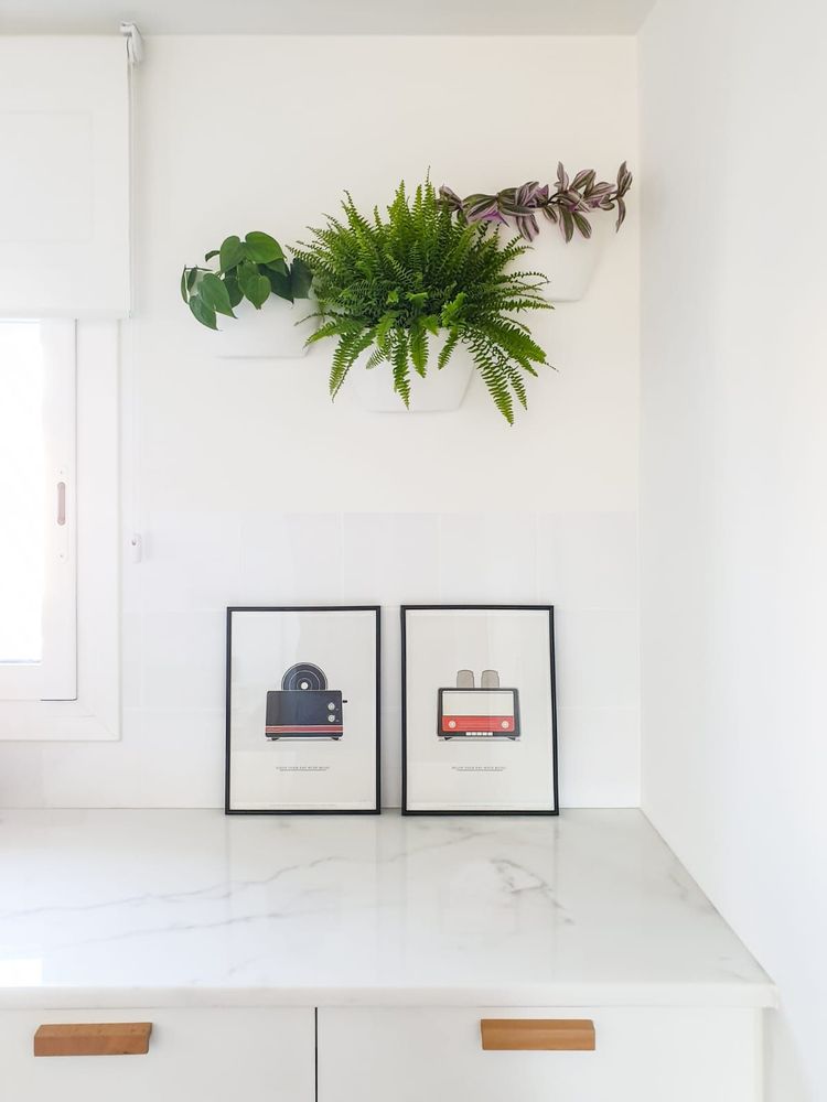 Décorations florales - Pots muraux avec arrosage auto - CITYSENS