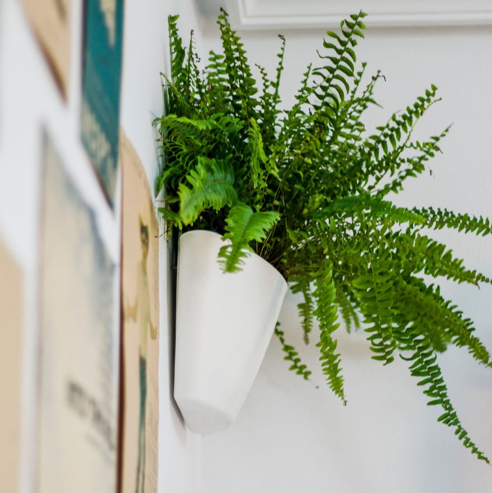 Décorations florales - Pots muraux avec arrosage auto - CITYSENS