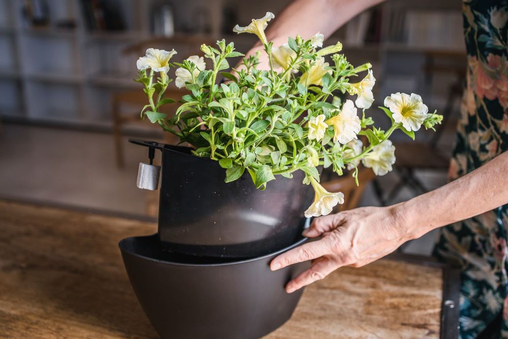 Décorations florales - Pots muraux avec arrosage auto - CITYSENS