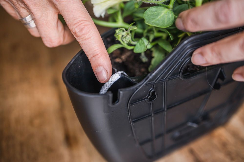Décorations florales - Pots muraux avec arrosage auto - CITYSENS