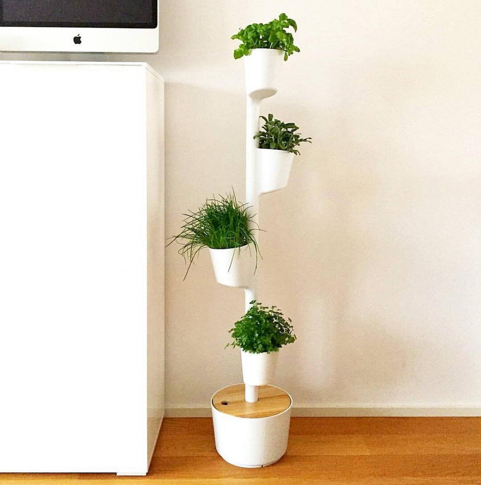 Kitchens furniture - CitySens Vertical indoor kitchen garden - CITYSENS
