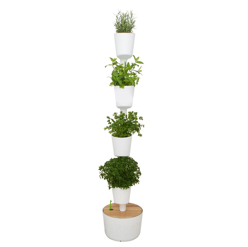 Kitchens furniture - CitySens Vertical indoor kitchen garden - CITYSENS