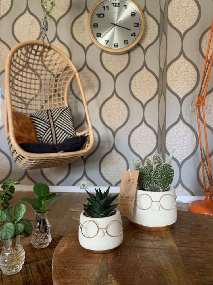 Objets de décoration - Mini Succulents dans un pot visage avec Lunettes - blanc/doré - small - PLANTOPHILE