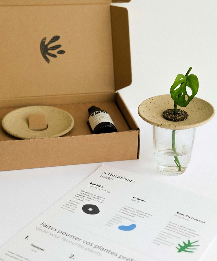 Coffrets et boîtes - Coffret de germination - PEPIN