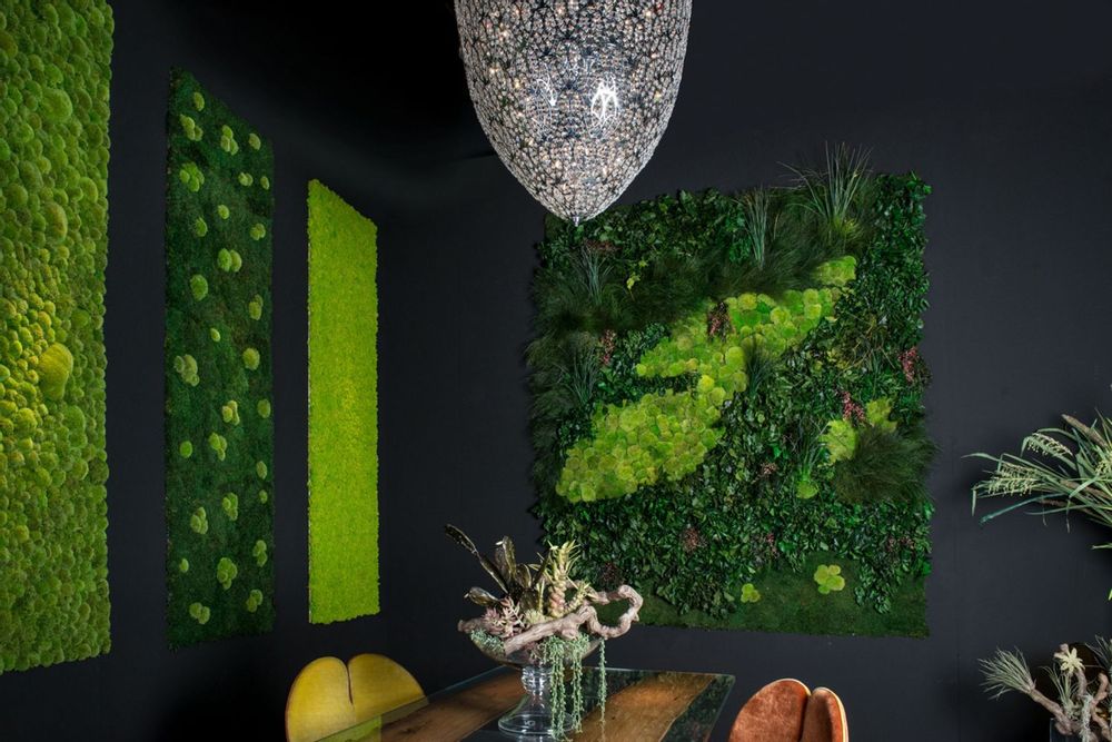 Décorations florales - Vertical Garden Cansiglio - VG - VGNEWTREND