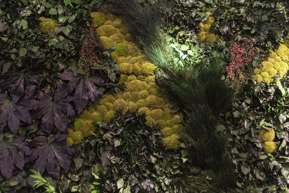 Décorations florales - Vertical Garden Cansiglio - VG - VGNEWTREND