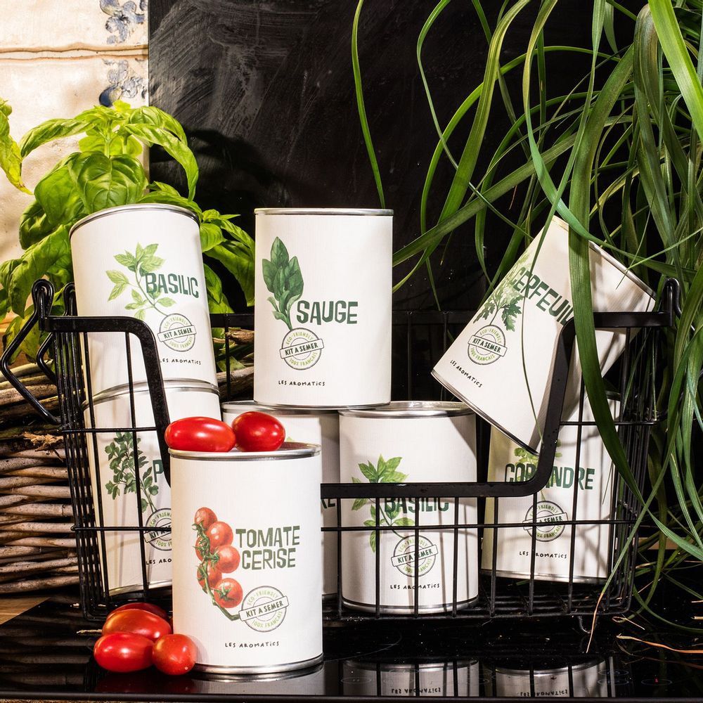 Gifts - Basil seed kit - MAUVAISES GRAINES