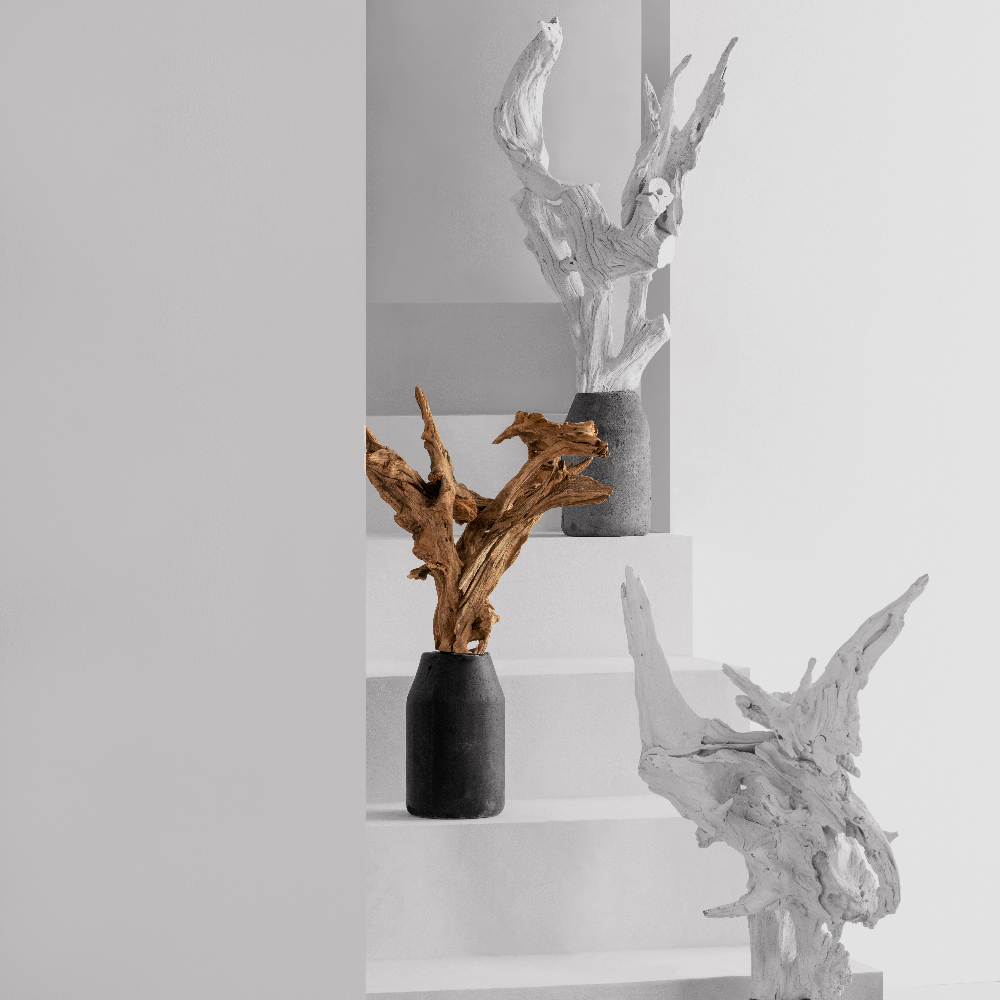 Unique pieces - CEBU HOMECRAFT Driftwood Planter - DESIGN PHILIPPINES OBJECTS