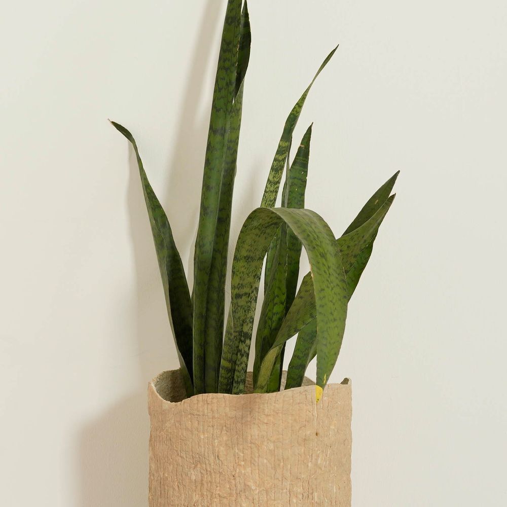 Vases - Paper Clay Bark Planter - INDIGENOUS