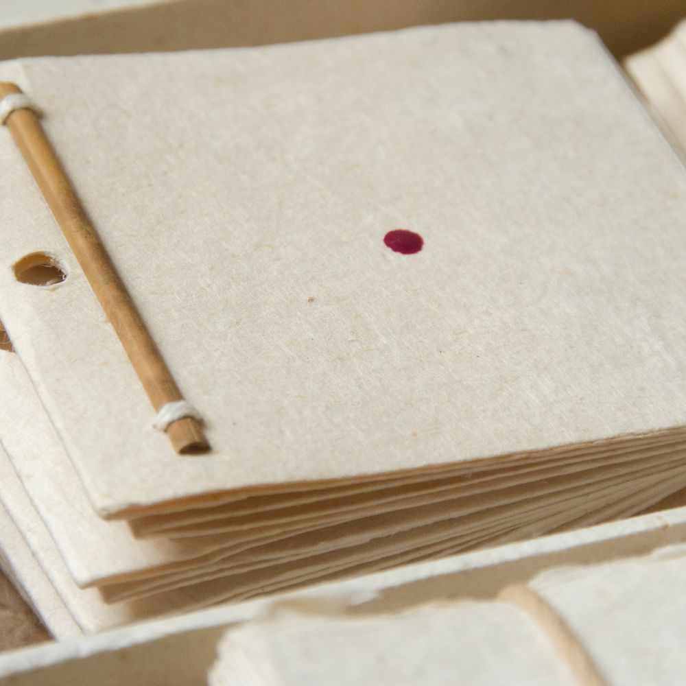 Papeterie - Ensembles de lettres de papeterie (cartes et journaux) - INDIGENOUS