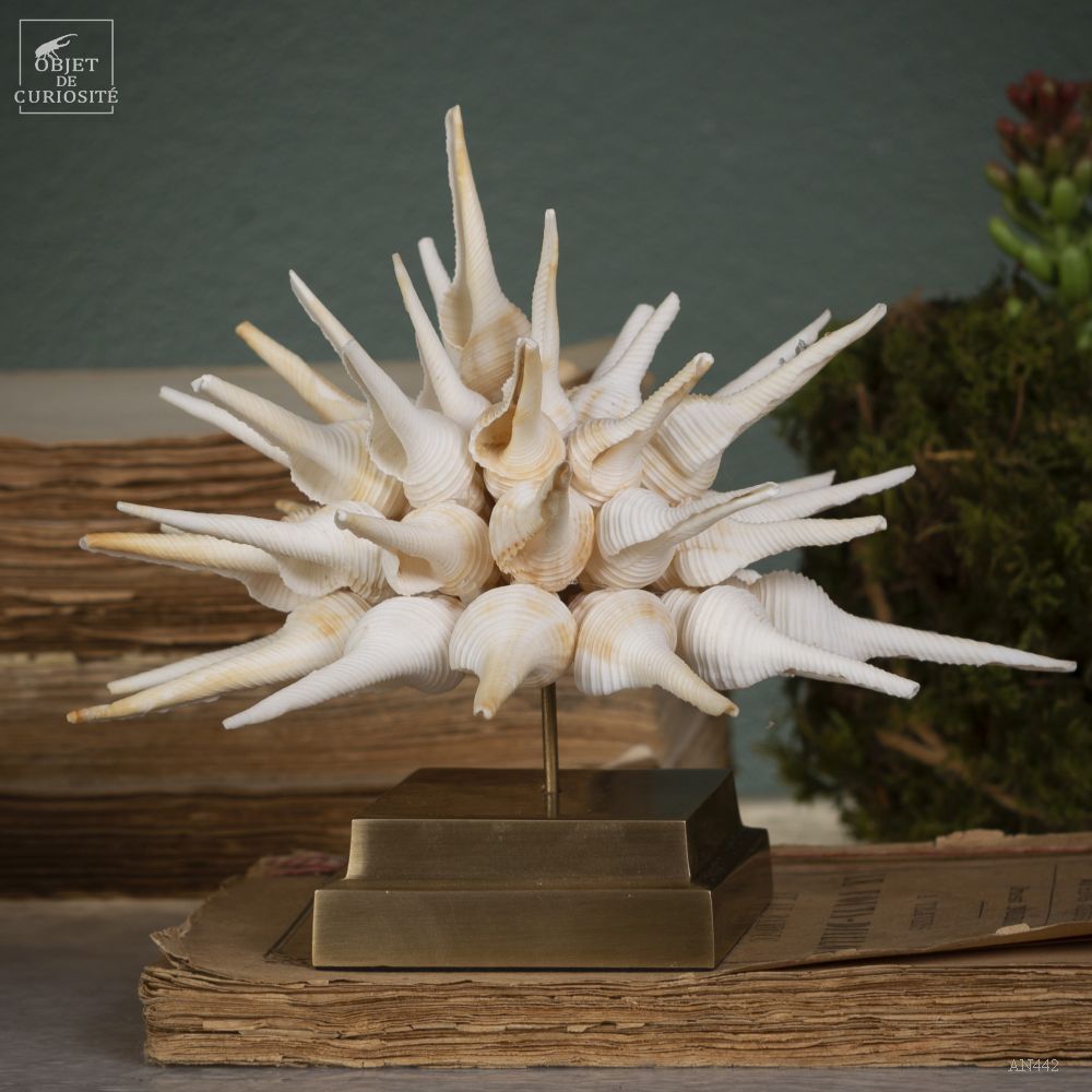 Decorative objects - Rainbow crystal box - OBJET DE CURIOSITÉ