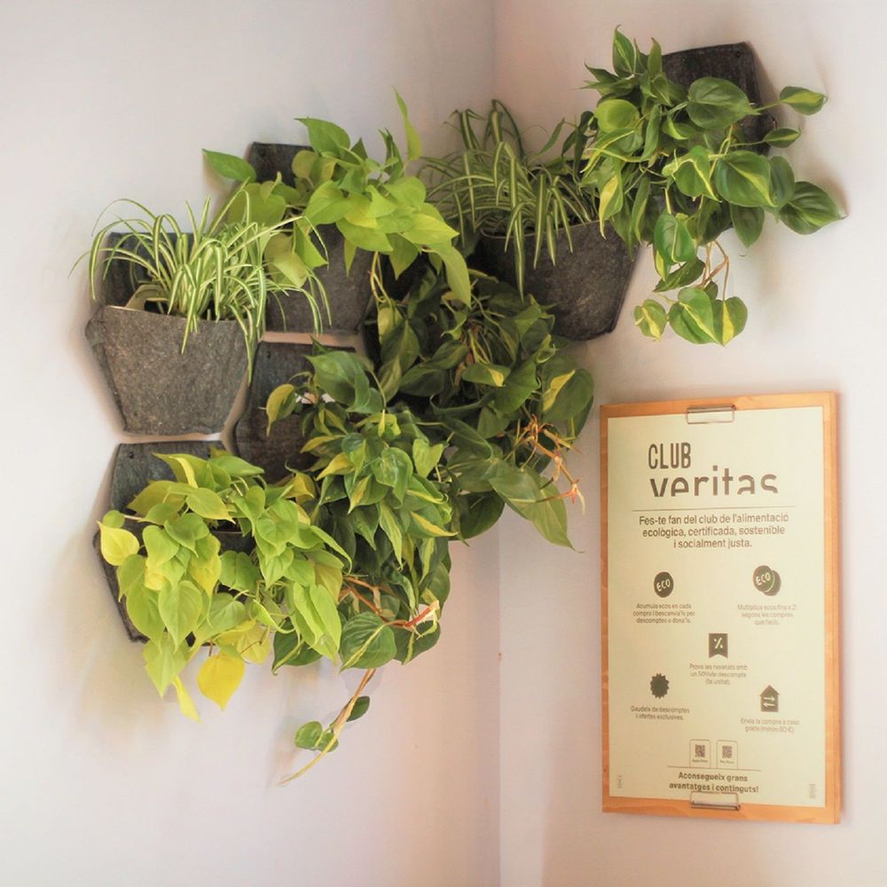 Pots de fleurs - Jardin vertical intérieur - modulaire & personnalisable - CITYSENS