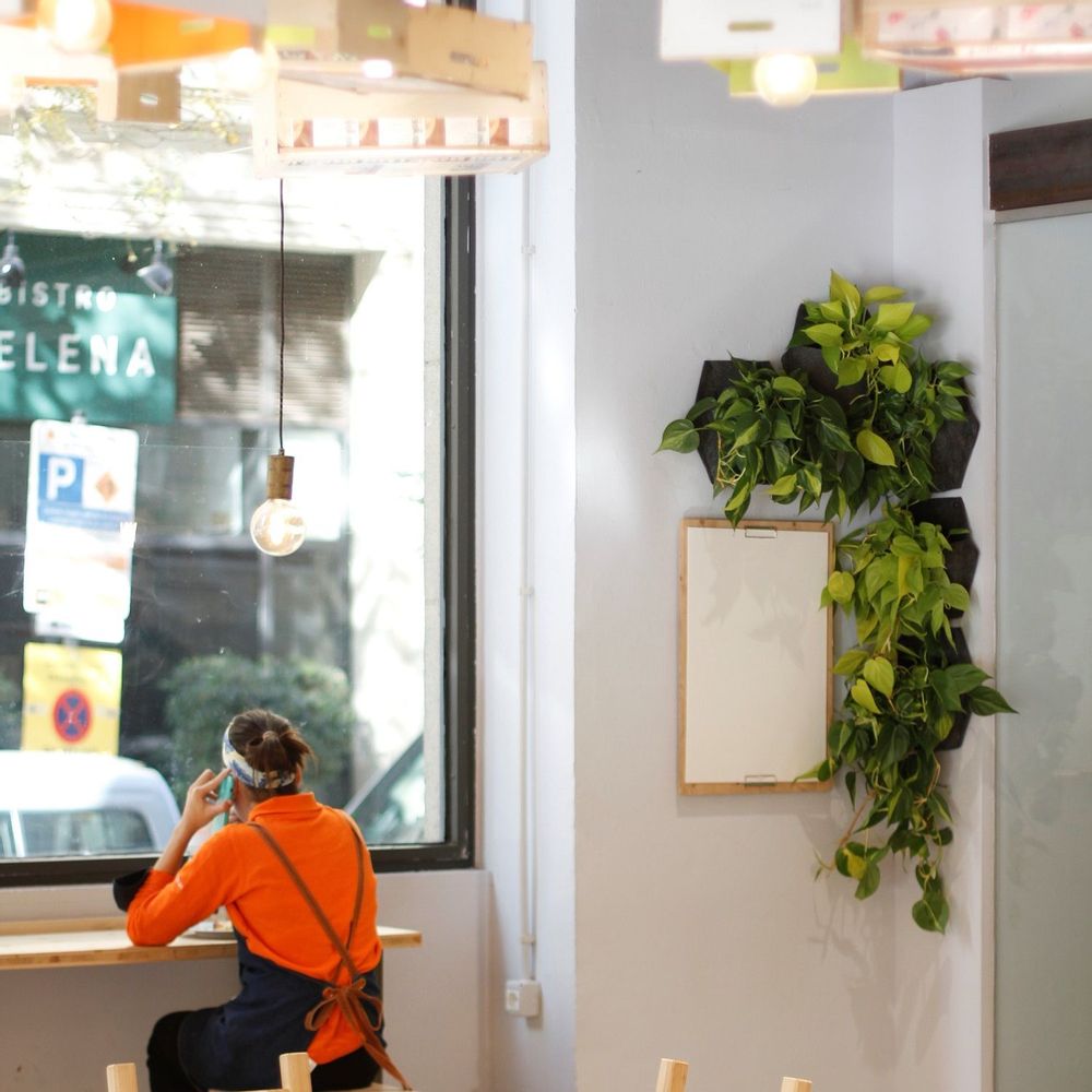 Pots de fleurs - Jardin vertical intérieur - modulaire & personnalisable - CITYSENS