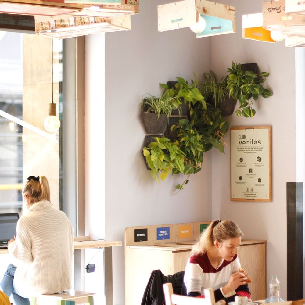 Pots de fleurs - Jardin vertical intérieur - modulaire & personnalisable - CITYSENS