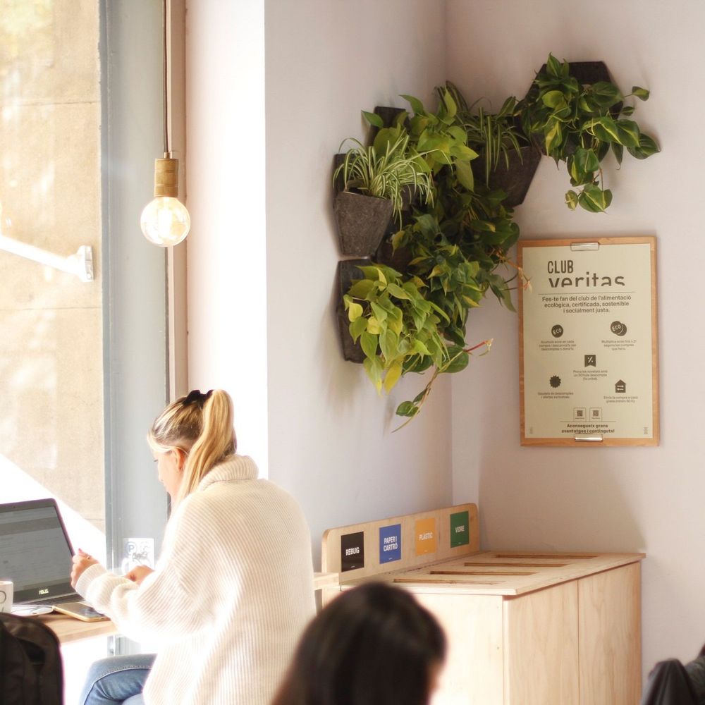 Pots de fleurs - Jardin vertical intérieur - modulaire & personnalisable - CITYSENS