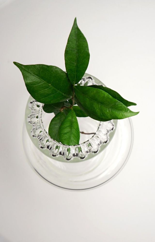 Vases - Naxos - KANZ