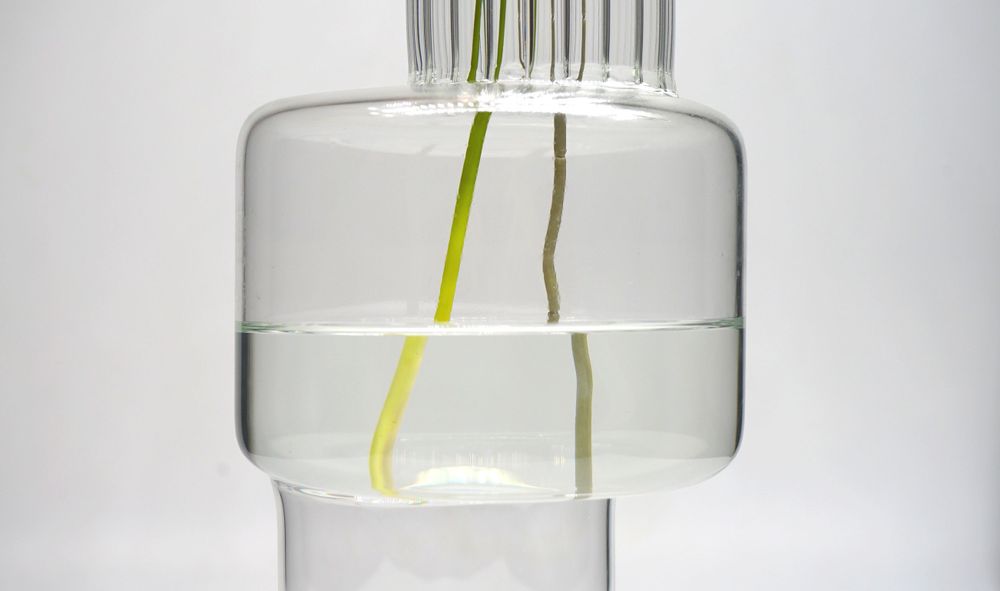 Vases - Naxos - KANZ