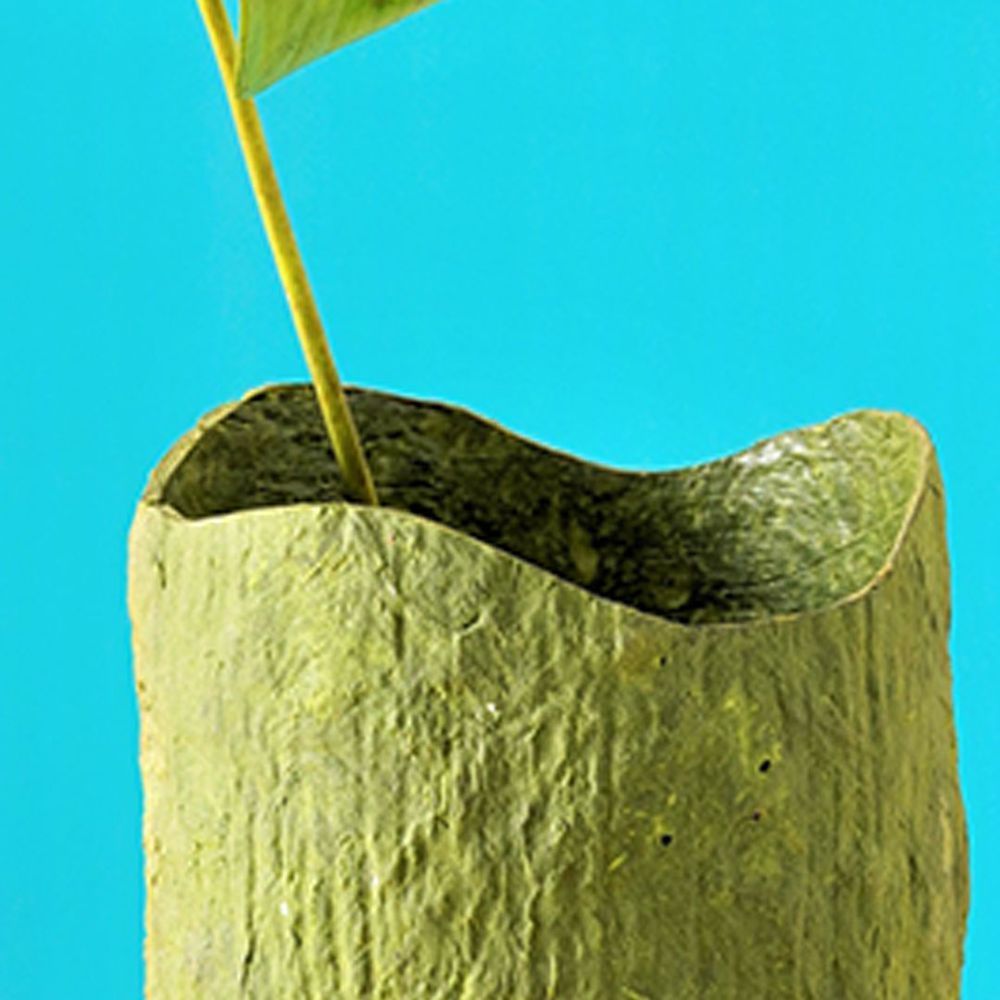 Vases - Wood Bark Clay Vase - INDIGENOUS