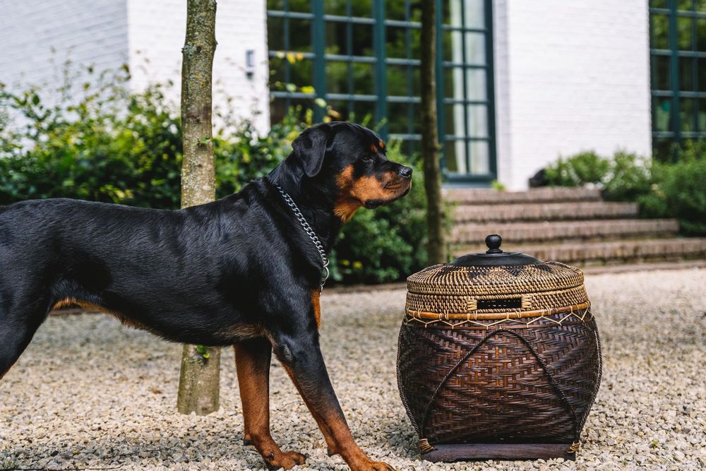 Coffrets et boîtes - Le Panier Colonial - Brun Naturel - BAZAR BIZAR LIVING