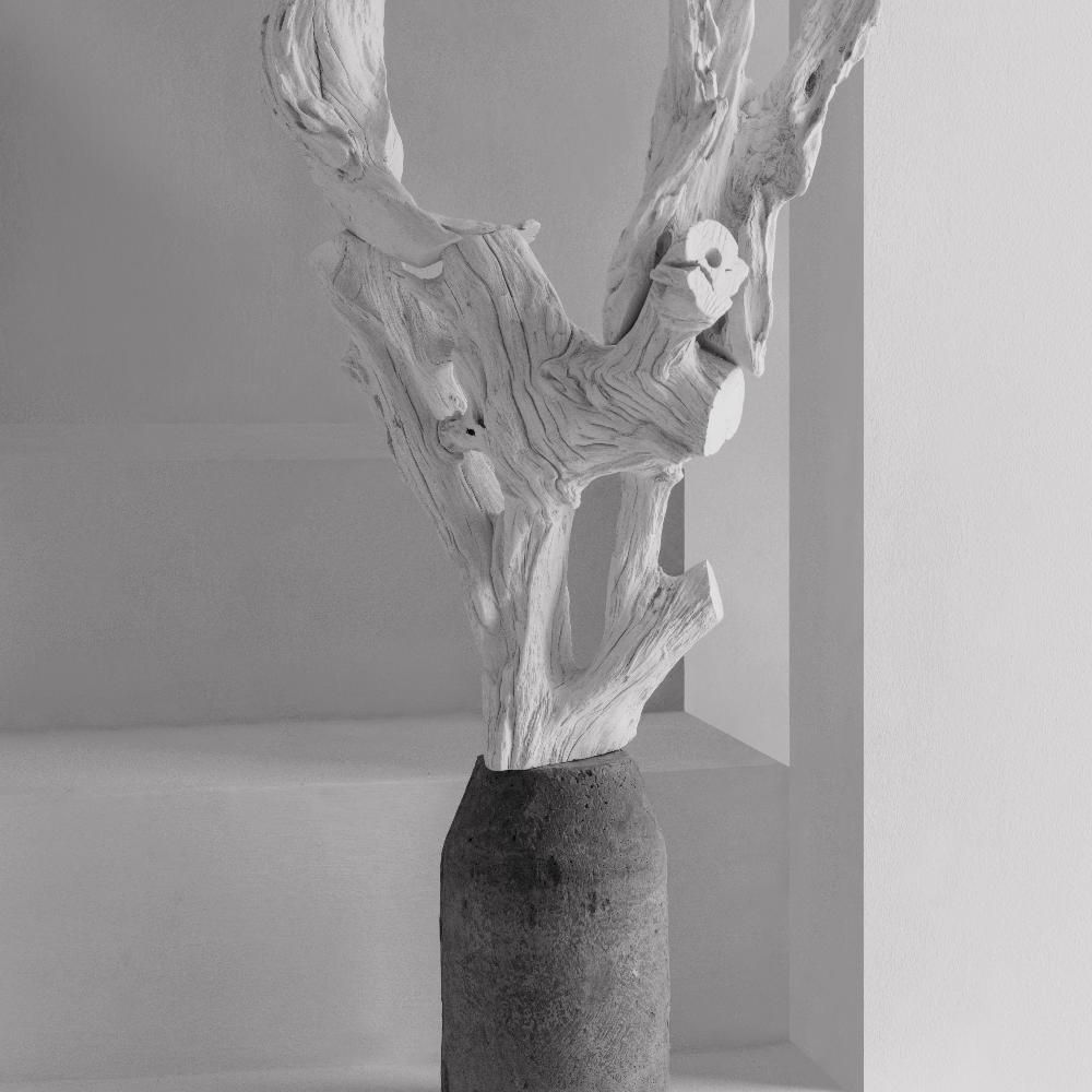 Unique pieces - CEBU HOMECRAFT Driftwood Planter - DESIGN PHILIPPINES OBJECTS