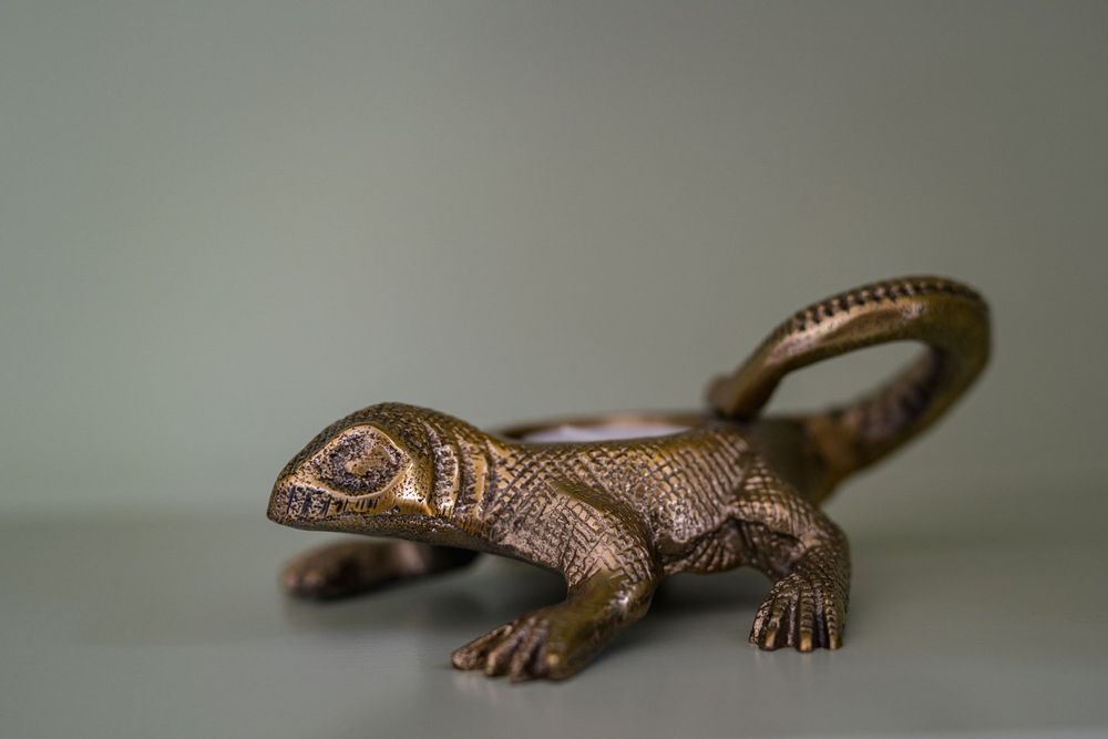 Candlesticks and candle holders - The Lizard - Brass - BAZAR BIZAR LIVING