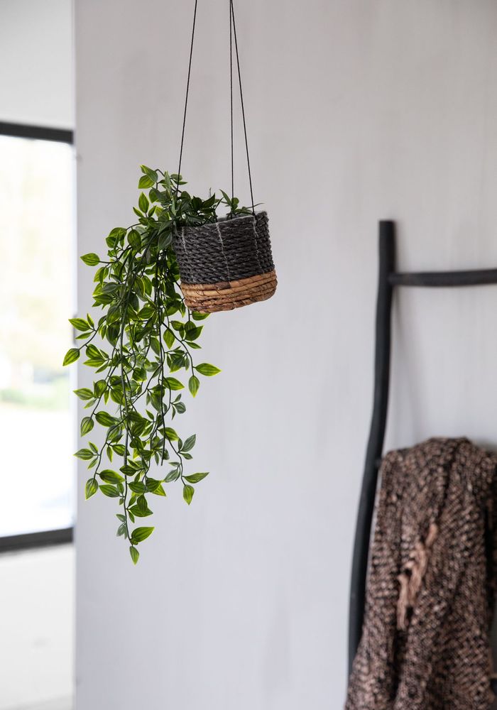 Vases - The Banana Plant Hanger - Natural Black - S - BAZAR BIZAR LIVING