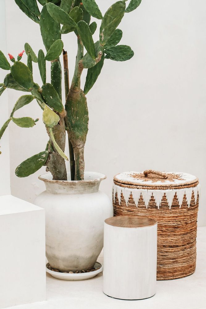Tabourets - Tabouret The Tribe - Blanc naturel - BAZAR BIZAR LIVING