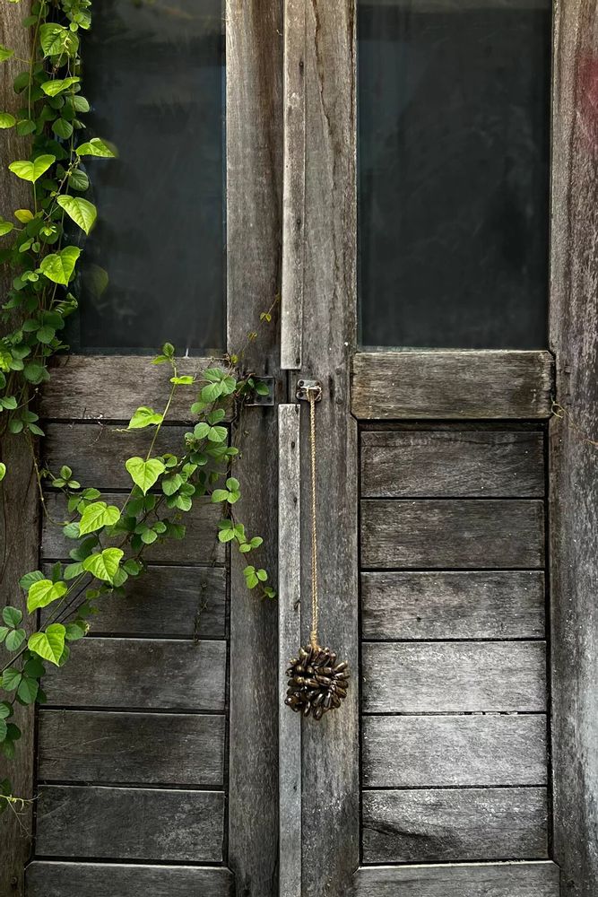 Objets de décoration - La Pompon En Cowrie Brun - BAZAR BIZAR LIVING
