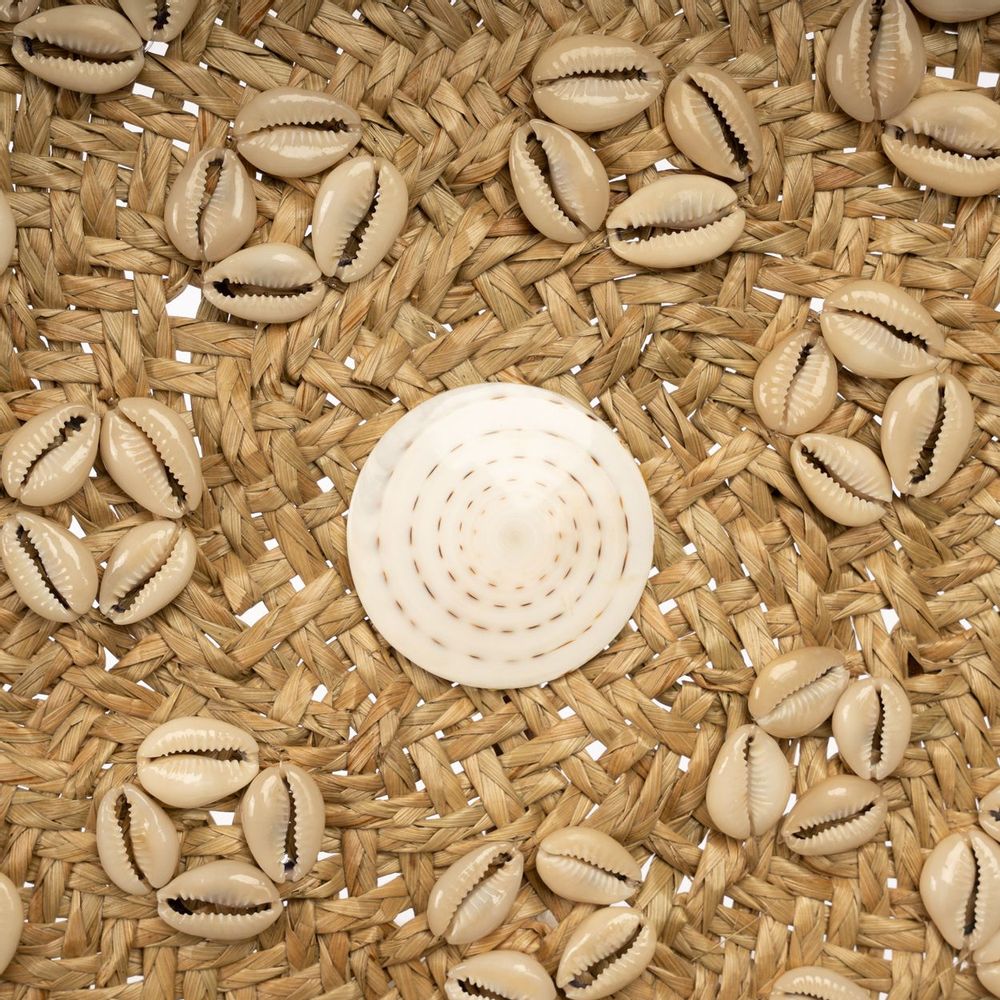 Autres décorations murales - L'Assiette Caribe Shell - Naturel Blanc - M - BAZAR BIZAR LIVING