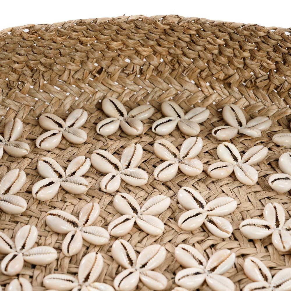 Plats et saladiers - L'Assiette Costa Shell - Naturel Blanc - M - BAZAR BIZAR LIVING