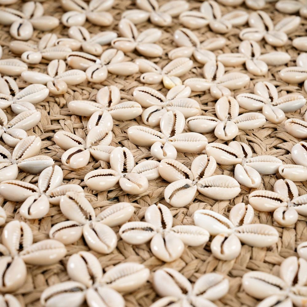 Plats et saladiers - L'Assiette Costa Shell - Naturel Blanc - M - BAZAR BIZAR LIVING