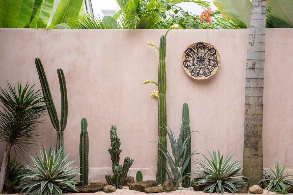 Decorative objects - The Maya Plate - Small - BAZAR BIZAR LIVING