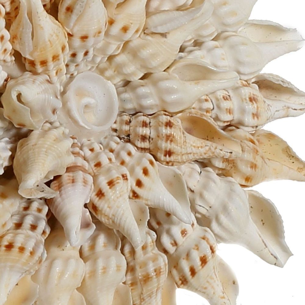 Decorative objects - The Moorea Hanger - S - BAZAR BIZAR LIVING