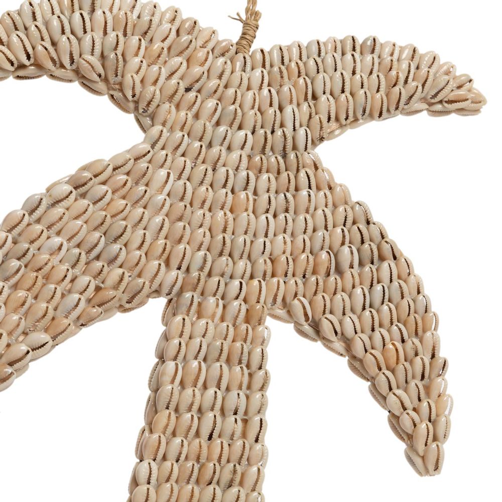 Objets de décoration - Le palmier à carapace - Naturel - BAZAR BIZAR LIVING