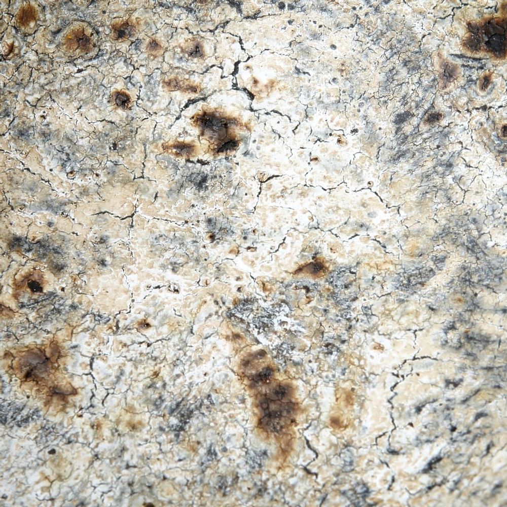 Platter and bowls - The Burned Cylinder Dish - Antique - Set of 3 - BAZAR BIZAR LIVING