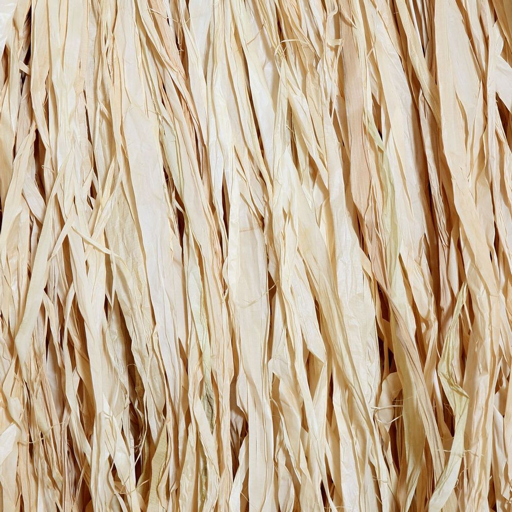 Objets de décoration - Used To Be Wild - Naturel - BAZAR BIZAR LIVING