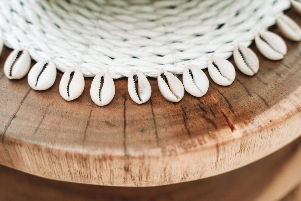 Potholders - The Seagrass Shell Pan Coaster - White - BAZAR BIZAR LIVING