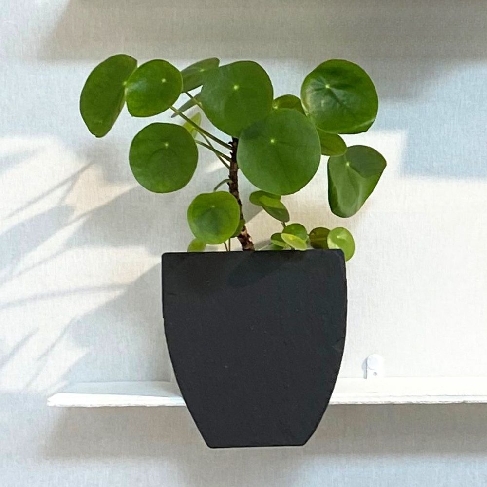Design objects - Ombre Chinoise 1, natural slate planter to put on - LE TREFLE BLEU