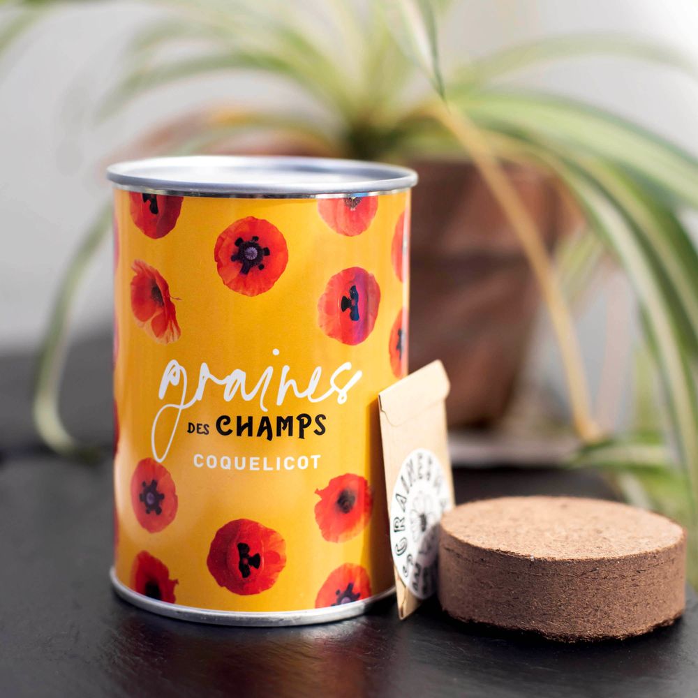 Cadeaux - Kit à semer "Graines des champs" Fabriqué en France - MAUVAISES GRAINES