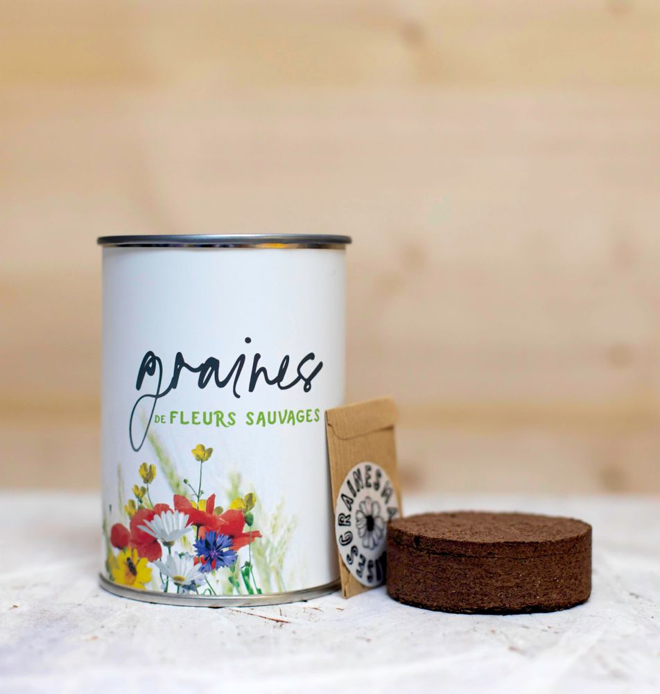 Cadeaux - Kit à semer "Graines de fleurs sauvages" Fabriqué en France - MAUVAISES GRAINES