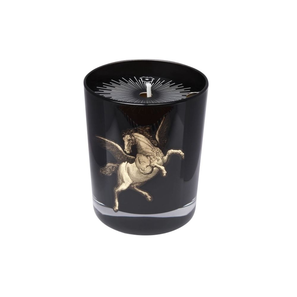 Decorative objects - Scented Candle: Lusitanian Fig Tree 180g. Luxury box. - YLUSTRE