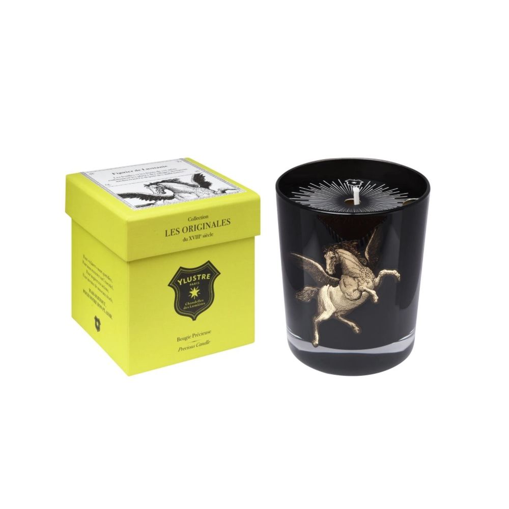 Decorative objects - Scented Candle: Lusitanian Fig Tree 180g. Luxury box. - YLUSTRE