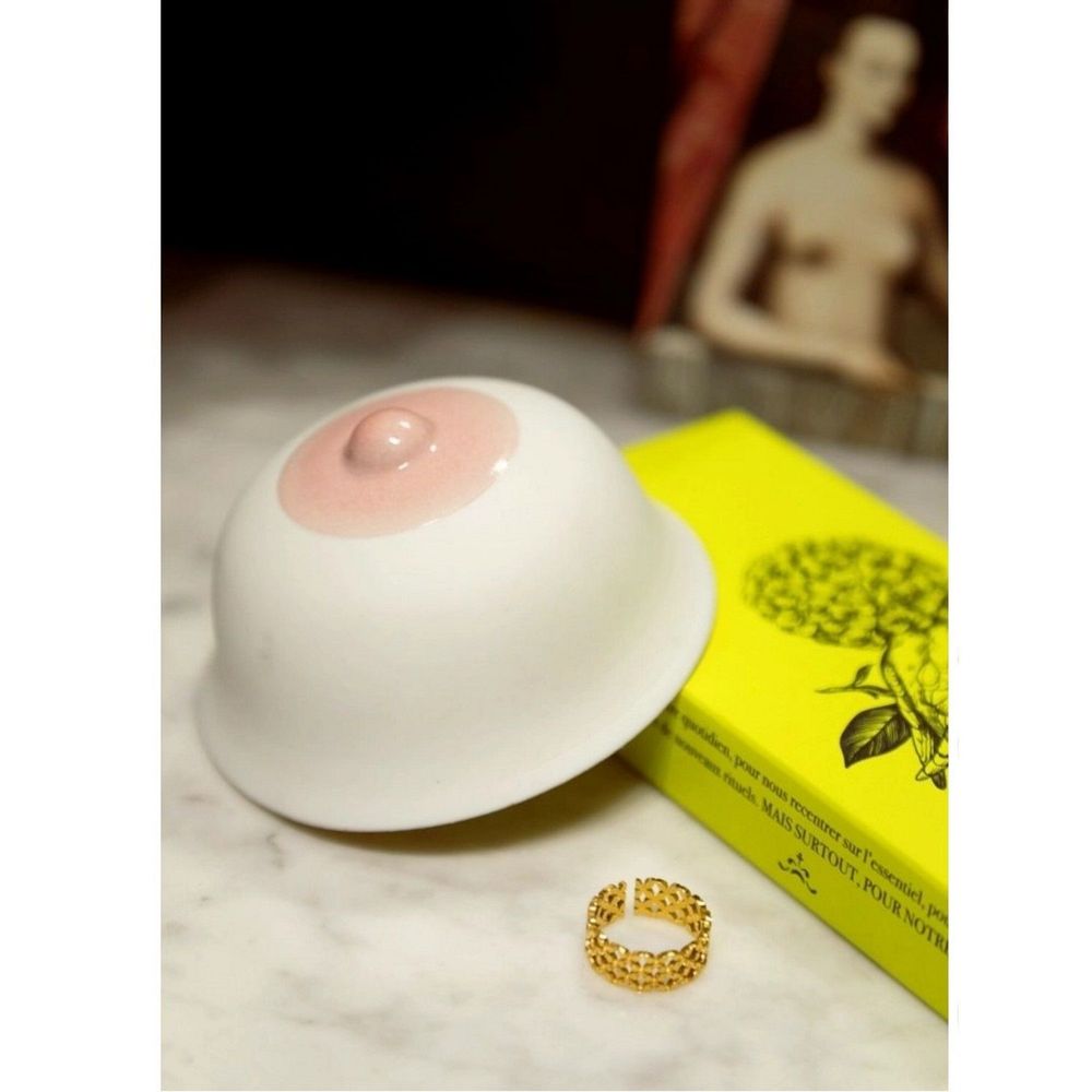 Decorative objects - Marie-Antoinette breast bowl - Limoges porcelain burner. France. - YLUSTRE