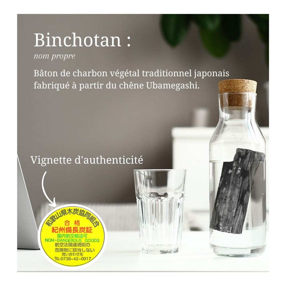 Carafes - Binchotan charcoal Japanese natural water filter - LE CHARBON ACTIF FRANCAIS